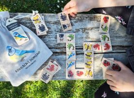 Edukační domino - Pro nejmenší (5)