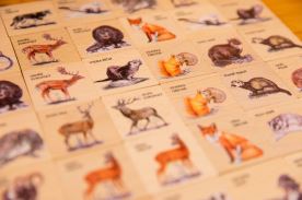 Pexeso poznávací malé - Lesní zvířátka (4)