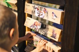 Naučné hranolky (2)