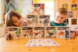 Pexeso klasické - Ptáci kolem nás (2)