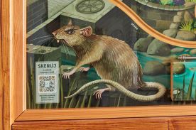 Cesta kapky vody (5)