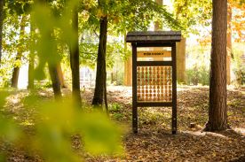 Lesní piškvorky (3)