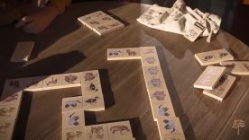 Edukační domino - Ptáci (1)