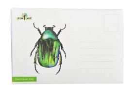 Puzzle do kapsy - Zlatohlávek