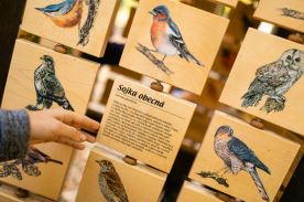 Tabulky poznání (L)