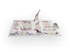 Vystřihovánky - Exotická zvířata (1)