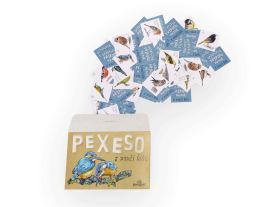 Papírové pexeso - Z ptačí říše
