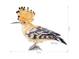 Nažehlovačka L 004 - Mix na louce (2)