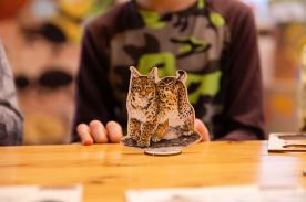 Vylomeniny se zvířátky S veverka (3)