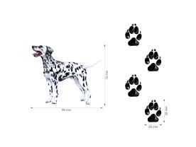 Nažehlovačka M 038 - Dalmatin (3)