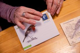 Puzzle do kapsy - Veverka (2)