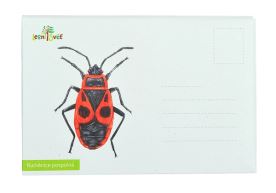 Puzzle do kapsy - Ruměnice