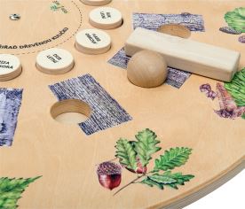 Kolo - Poznávání dřevin (1)