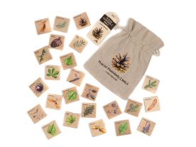 Pexeso poznávací malé - Lesní dřeviny