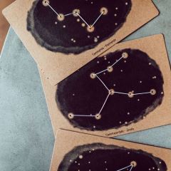 STELA - Pipasík (3)