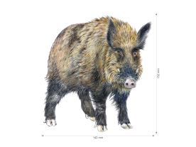 Nažehlovačka L 016 - Kančí rodinka (2)