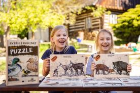 Sada puzzle - Zvířecí rodinky (3)