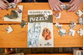 Sada puzzle - Dřevokazný hmyz (2)