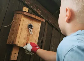 Péče o ptačí budku jako aktivita s dětmi Péče o ptačí budku jako aktivita s dětmi
