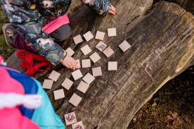 Pexeso poznávací malé - Z říše hmyzu (3)