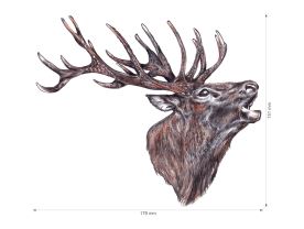 Nažehlovačka M 025 - Jelen hlava (2)