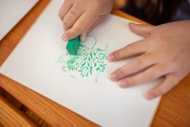 Frotážová sada - Dřeviny kolem nás (3)