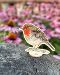 Balíček ptáci (3)