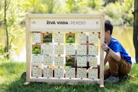 Pexeso stolní - Živý les (4)