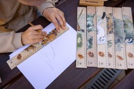 Dřevěné pravítko 30 cm - Vlk obecný (2)