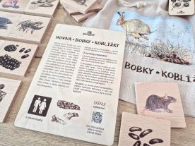 Hovna, bobky, koblížky - výuková hra (3)