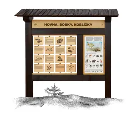 Hovna, bobky, koblížky