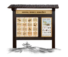 Hovna, bobky, koblížky