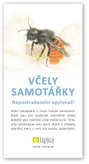 Včely samotářky - Lipka