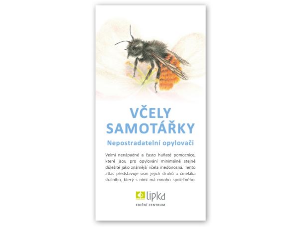 Včely samotářky - Lipka
