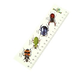 Papírová záložka s měřítkem - Brouci