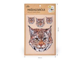 Nažehlovačka M 029 - Rys hlavy (1)