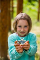 Velké vylomeniny - Lesní zvířata (5)