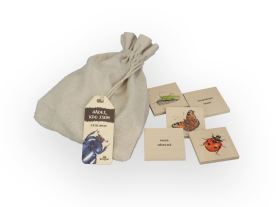 Hádej, kdo jsem - Z říše hmyzu