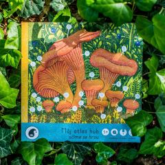 Můj atlas hub - Pipasík (2)