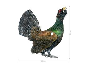 Nažehlovačka M 027 - Tetřev (2)