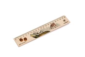 Dřevěné pravítko 20 cm - Jelen evropský