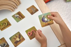 všudyLEPKA vel. 1 -028 - Mix barevný (2)