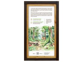 Tabulky poznání zvukové - Život v lese (1)