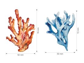 Nažehlovačka L 041 - Akvarijní ryby 2. (4)