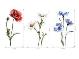 Nažehlovačka M 094 - Luční kvítí 3. (3)