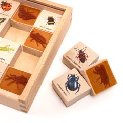 Razítka 16 kusů - Hmyz (1)