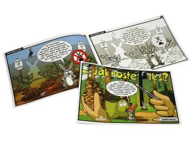 Papírová omalovánka - Jak roste les