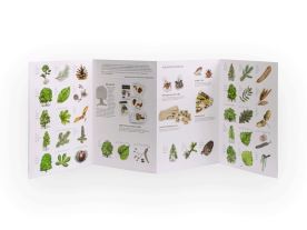 Papírové tripexeso - Naše stromy (2)