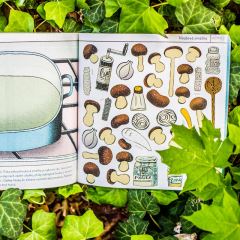 Můj atlas hub - Pipasík (1)