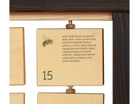 Medonosné rostliny (1)